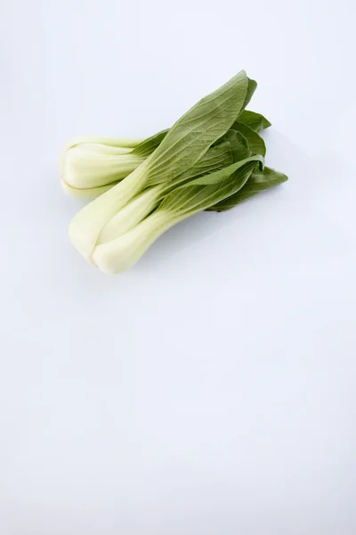 Grön Bok choy — Stockfoto