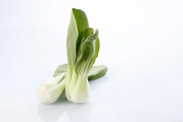 グリーン青梗菜 — ストック写真
