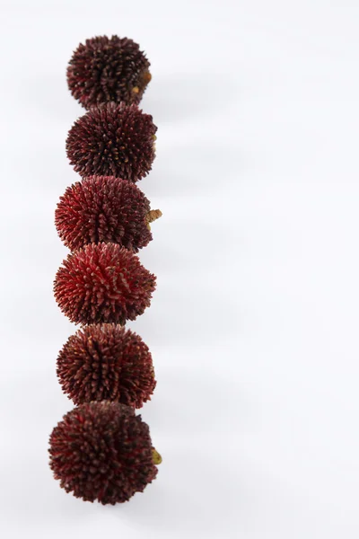 Fruits pulasan ou kapulasan — Photo