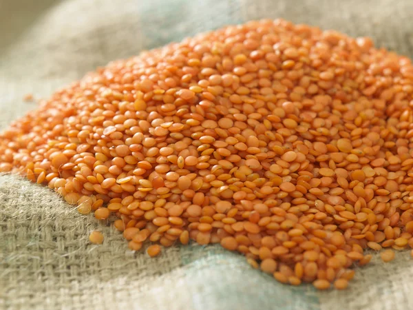 Dry red lentils — Stock Photo, Image