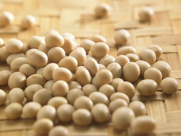 Dry soy beans — Stock Photo, Image