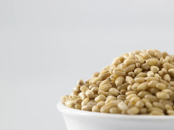 Bowl of wheat grain — Stock Photo, Image