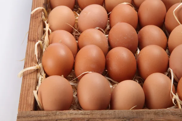 Fresh brown eggs — Stock Photo, Image