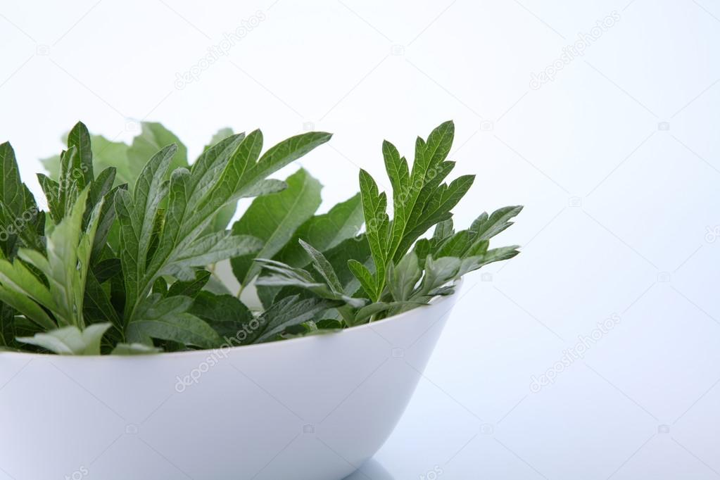 Green Mugwort Herbal