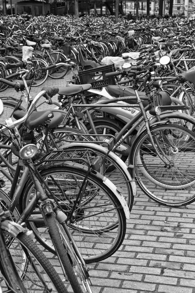 Holland, Amsterdam; 9 oktober 2011, cyklar parkering nära centralstationen - ledare — Stockfoto