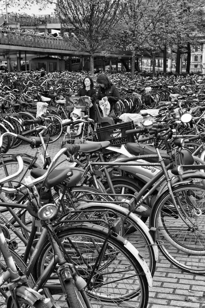 Holandia, Amsterdam; 9 października 2011, rowery, parking w pobliżu dworca centralnego - Redakcja — Zdjęcie stockowe