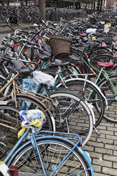 네덜란드, 암스테르담; 2011 년 10 월 9 일, 자전거 중앙 역-사설 주차장 — 스톡 사진