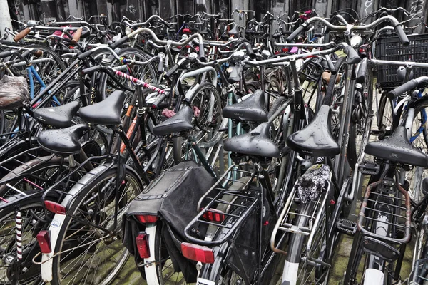 Holandsko, Amsterdam; 9. října 2011, jízdní kola, parkování poblíž hlavního nádraží - Editorial — Stock fotografie