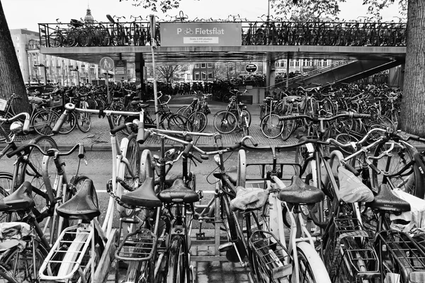 Holland, Amsterdam; 9 October 2011, bicycles parking near the Central Station - EDITORIAL — Stock Photo, Image