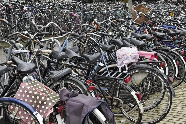 Hollandia, Amsterdam; 2011. október 9., kerékpár parkoló, közel a központi pályaudvarhoz - szerkesztőség — Stock Fotó