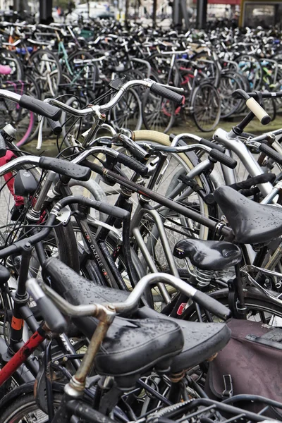 Hollandia, Amsterdam; 2011. október 9., kerékpár parkoló, közel a központi pályaudvarhoz - szerkesztőség — Stock Fotó