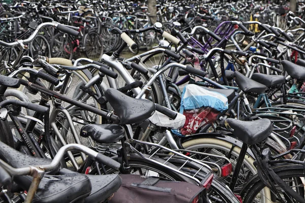 Holland, Amsterdam; 9 October 2011, bicycles parking near the Central Station - EDITORIAL — Stock Photo, Image