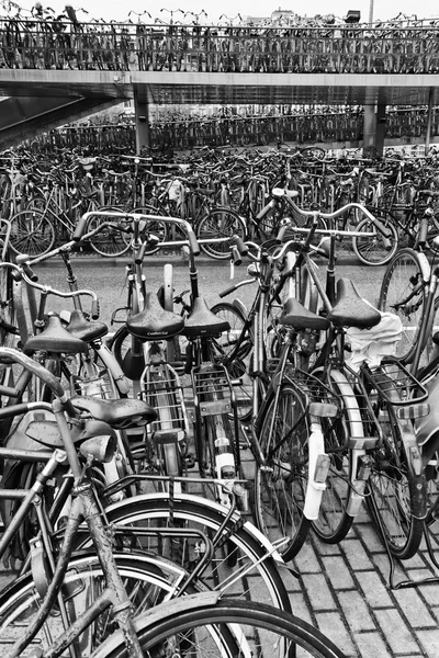 Holland, Amsterdam; 9 October 2011, bicycles parking near the Central Station - EDITORIAL — Stock Photo, Image