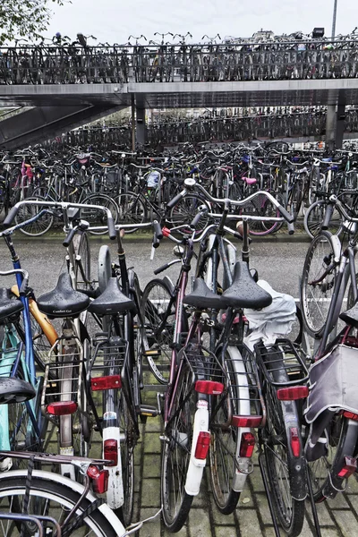 Holland, Amsterdam; 9 oktober 2011, cyklar parkering nära centralstationen - ledare — Stockfoto