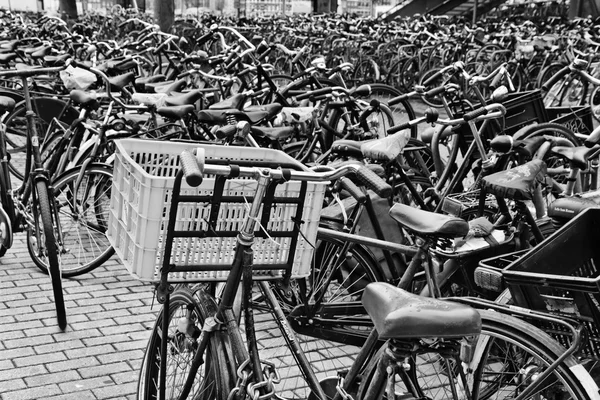 Ολλανδία, Άμστερνταμ. 9 Οκτωβρίου 2011, ποδήλατα, πάρκινγκ κοντά στον κεντρικό σταθμό - συντακτική — Φωτογραφία Αρχείου