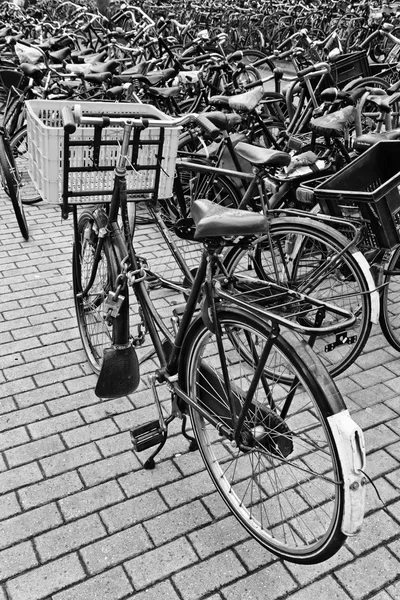 Holland, Amsterdam; 9 oktober 2011, cyklar parkering nära centralstationen - ledare — Stockfoto