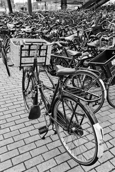 Holland, Amsterdam; 9 October 2011, bicycles parking near the Central Station - EDITORIAL — Stock Photo, Image
