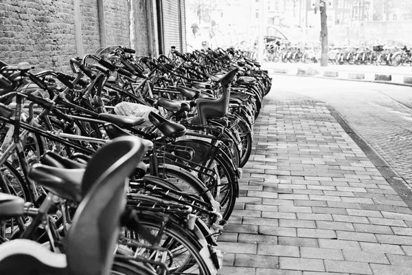 Holanda, Ámsterdam; 9 de octubre de 2011, estacionamiento de bicicletas en un túnel cerca de la Estación Central - EDITORIAL —  Fotos de Stock