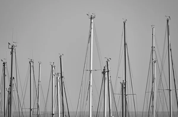 Italië, siciliy, Middellandse Zee, marina di ragusa, zeilboot masten in de jachthaven — Stockfoto