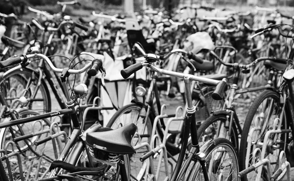 Holland, Vollendam (Amsterdam); 9 oktober 2011, cyklar parkering - ledare — Stockfoto