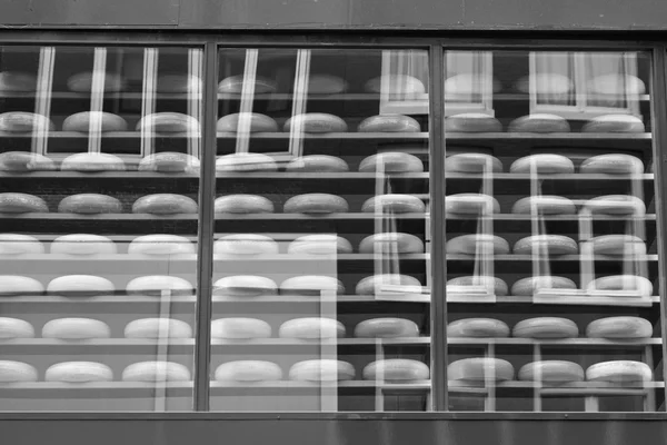 Holland, Amsterdam, Dutch cheese for sale in a local store — Stock Photo, Image