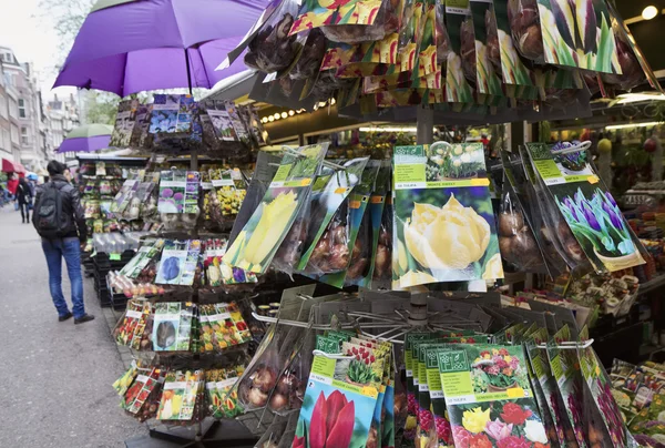 Holland, Amsterdam; 10 oktober 2011, tulip zaden te koop in een bloemen markt - redactie — Stockfoto