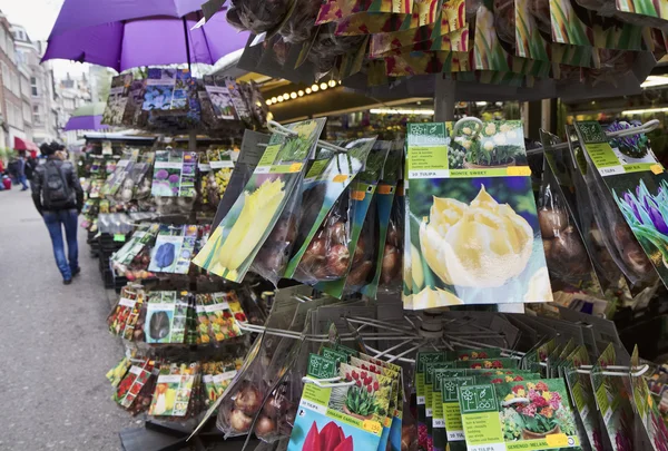 Holland, Amsterdam; 10 oktober 2011, tulip zaden te koop in een bloemen markt - redactie — Stockfoto