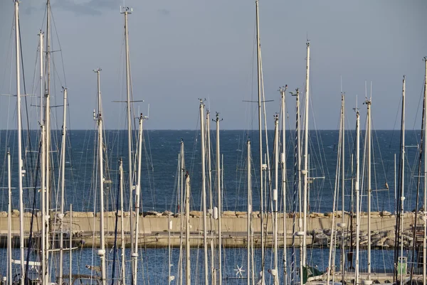 İtalya, Sicilya, yelkenli tekneler gün batımında bir marina da direkleri — Stok fotoğraf