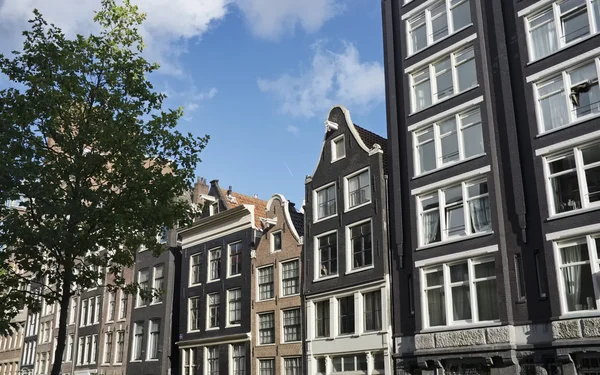 Голландия, Амстердам, фасад старых каменных домов в центре города — стоковое фото