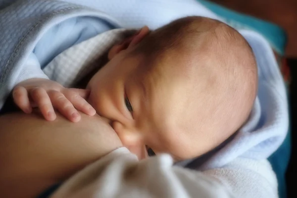 新生儿母乳喂养 — 图库照片