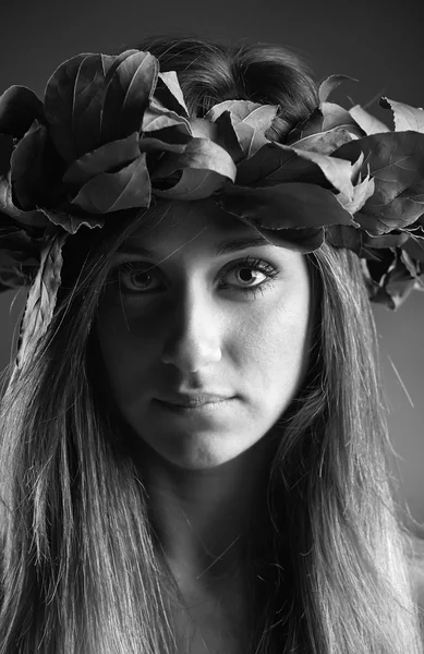 Retrato de estudio de una hermosa chica con una corona de hojas de roble laurel —  Fotos de Stock