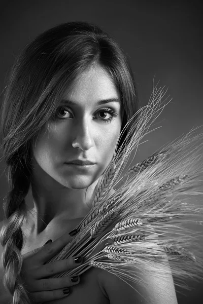 Estúdio retrato de uma menina bonita com feixes de trigo — Fotografia de Stock