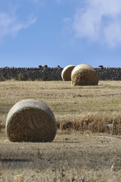 Itália, Sicília, zona rural, campo de feno colhido — Fotografia de Stock