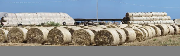 Itálie, Sicílie, provincie Ragusa, venkov, sklizené seno pole — Stock fotografie