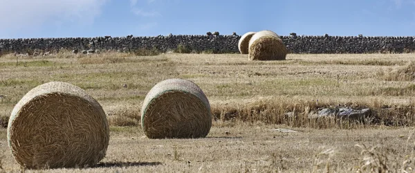 Italy, Sicily, countryside, harvested hay field — Stock Photo, Image