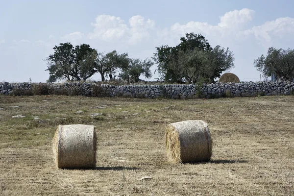 Itália, Espanha, região rural, região rural, região rural — Fotografia de Stock