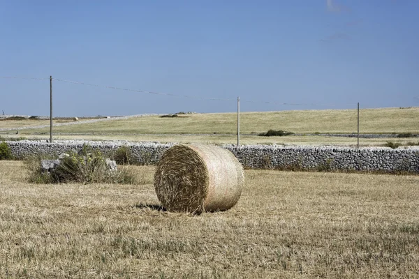 Italy, Sicily, countryside, harvested hay field — Stock Photo, Image