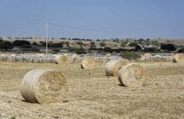 İtalya, Sicilya, kırsal, Ragusa eyaletinde, saman alan hasat