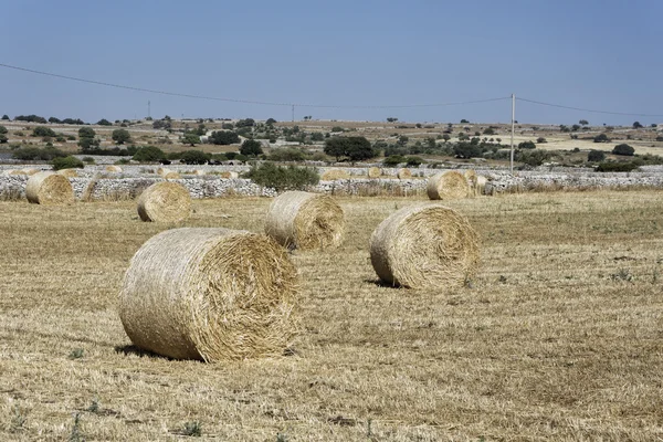 Italy, Sicily, Ragusa Province, countryside, harvested hay field — Stock Photo, Image