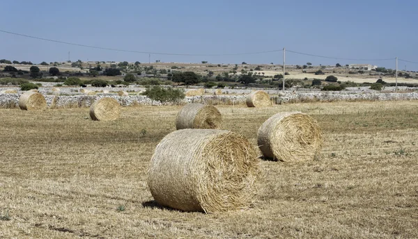 Ιταλία, Σικελία, επαρχία Ragusa, εξοχή, η συγκομιδή σανού πεδίο — Φωτογραφία Αρχείου