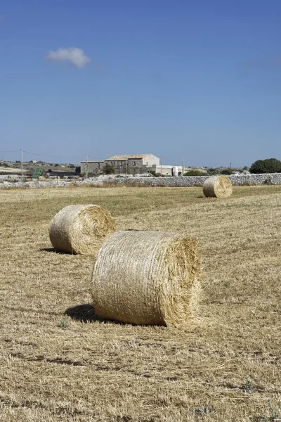 Itália, Sicília, província de Ragusa, zona rural, campo de feno colhido — Fotografia de Stock