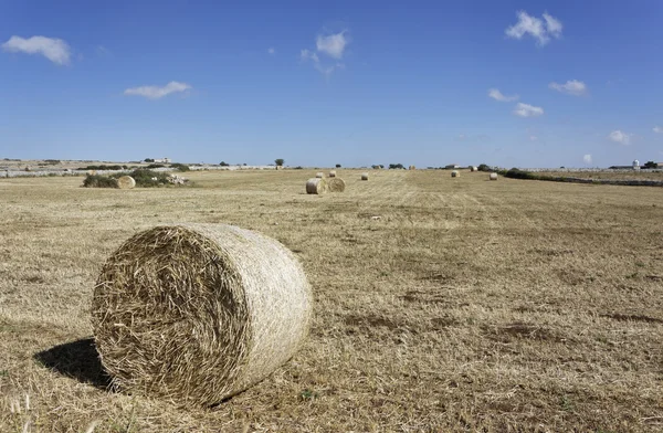 Italy, Sicily, Ragusa Province, countryside, harvested hay field — Stock Photo, Image