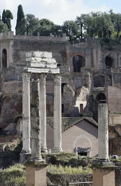 イタリア、ローマ、ローマ フォーラム、ローマの遺跡します。 — ストック写真