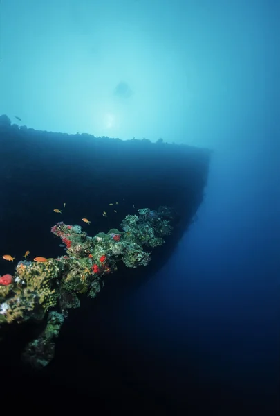 SUDAN, Red Sea, U.W. photo, Umbria wreck, the bow of the sunken ship - FILM SCAN — Stock Photo, Image