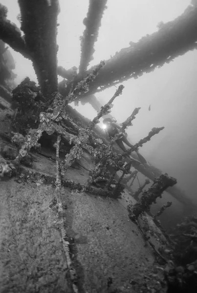 SUDÁN, Mar Rojo, U.W. foto, naufragio de Umbría - SCAN DE PELÍCULA — Foto de Stock