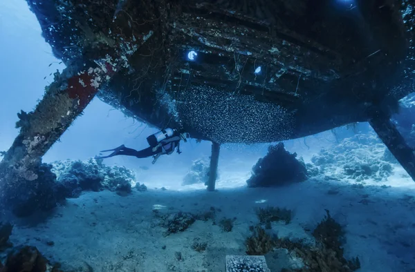 SUDÁN, Mar Rojo, Sha 'ab Rumi, U.W. foto, Cousteau Precontinent 2 estructura, utilizado en 1960 para estudiar el comportamiento de los tiburones — Foto de Stock