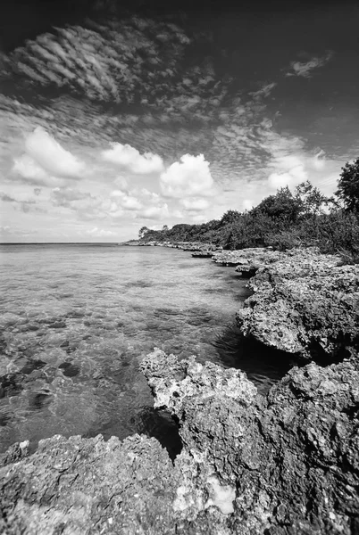 CUBA, a costa rochosa da ilha - FILM SCAN — Fotografia de Stock