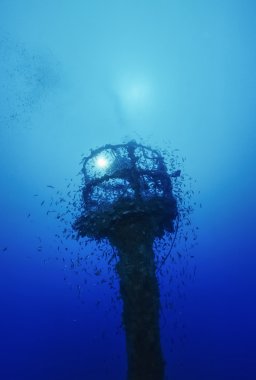İtalya, calabria, Tiren Denizi, UW fotoğraf, batık dalış, batık gemi - film tarama
