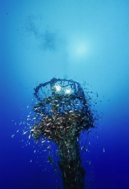 İtalya, calabria, Tiren Denizi, UW fotoğraf, batık dalış, batık gemi - film tarama