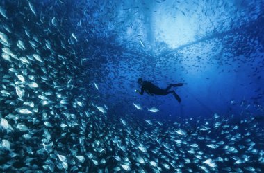 Italy, Sicily, Mediterranean sea, Ponza Island, aquaculture nets off the coast of the island - FILM SCAN clipart
